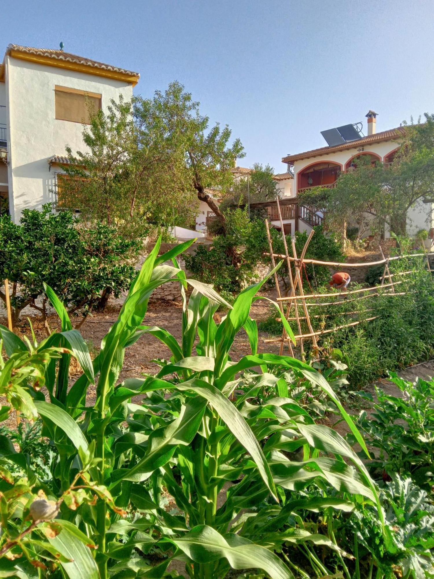 Tuguest Hortichuela House Villa Ugijar Eksteriør bilde